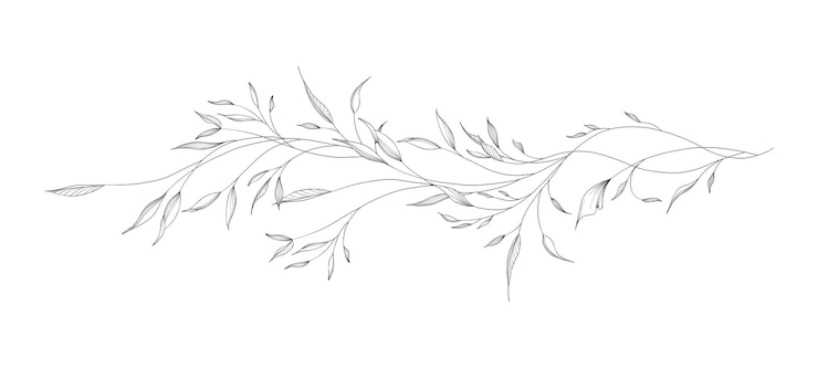 Vecteur botanique de longues branches et de feuilles dessinées à la main en ligne