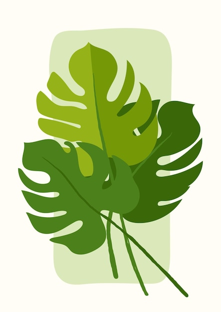 Bouquet d'affiches Monstera de feuilles de monstera tropicales