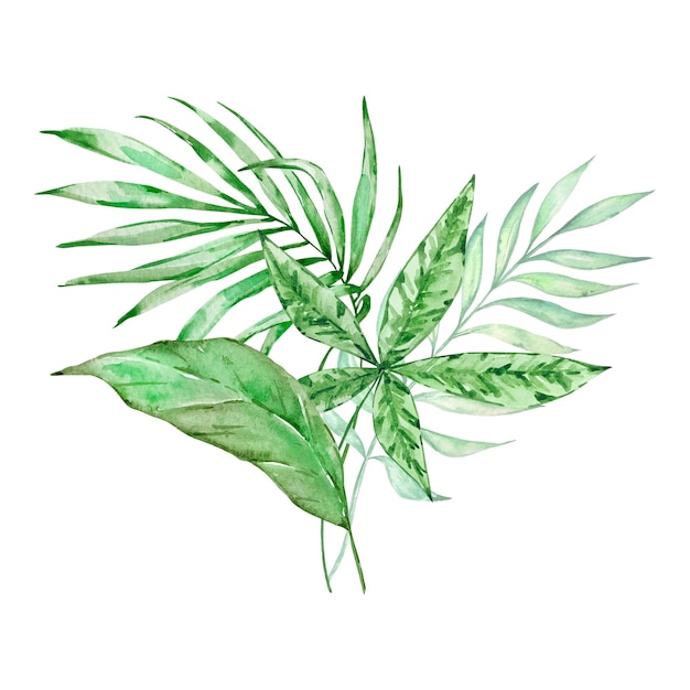 Bouquet aquarelle de feuilles tropicales lumineuses pour la conception