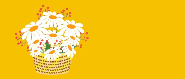 Un bouquet de camomille fraîche dans un panier en osier sur un fond de printemps jaune vif