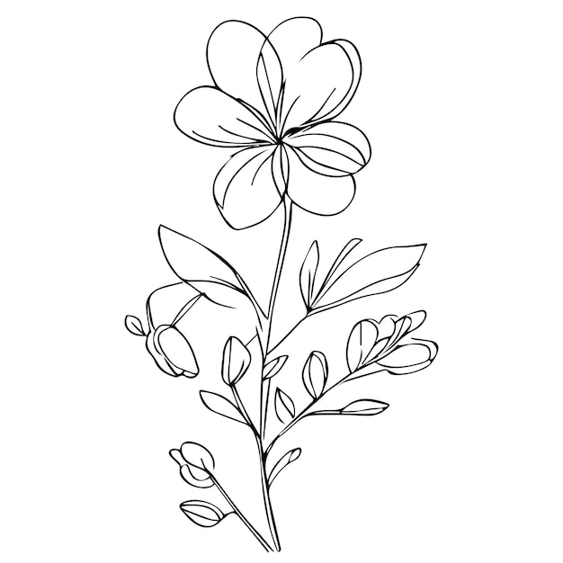 Vecteur bouquet d'éléments de printemps botaniques dessinés à la main de page de coloriage d'art de ligne de fleur de wilf avec des enfants