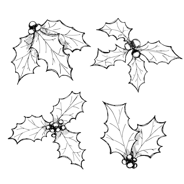 Bouquet de feuilles de houx de Noël et du nouvel an dessinés à la main avec des cliparts de vacances de baies