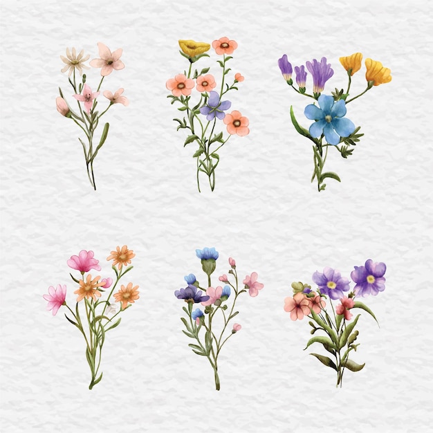 Vecteur bouquet de fleurs aquarelle clip art illustration