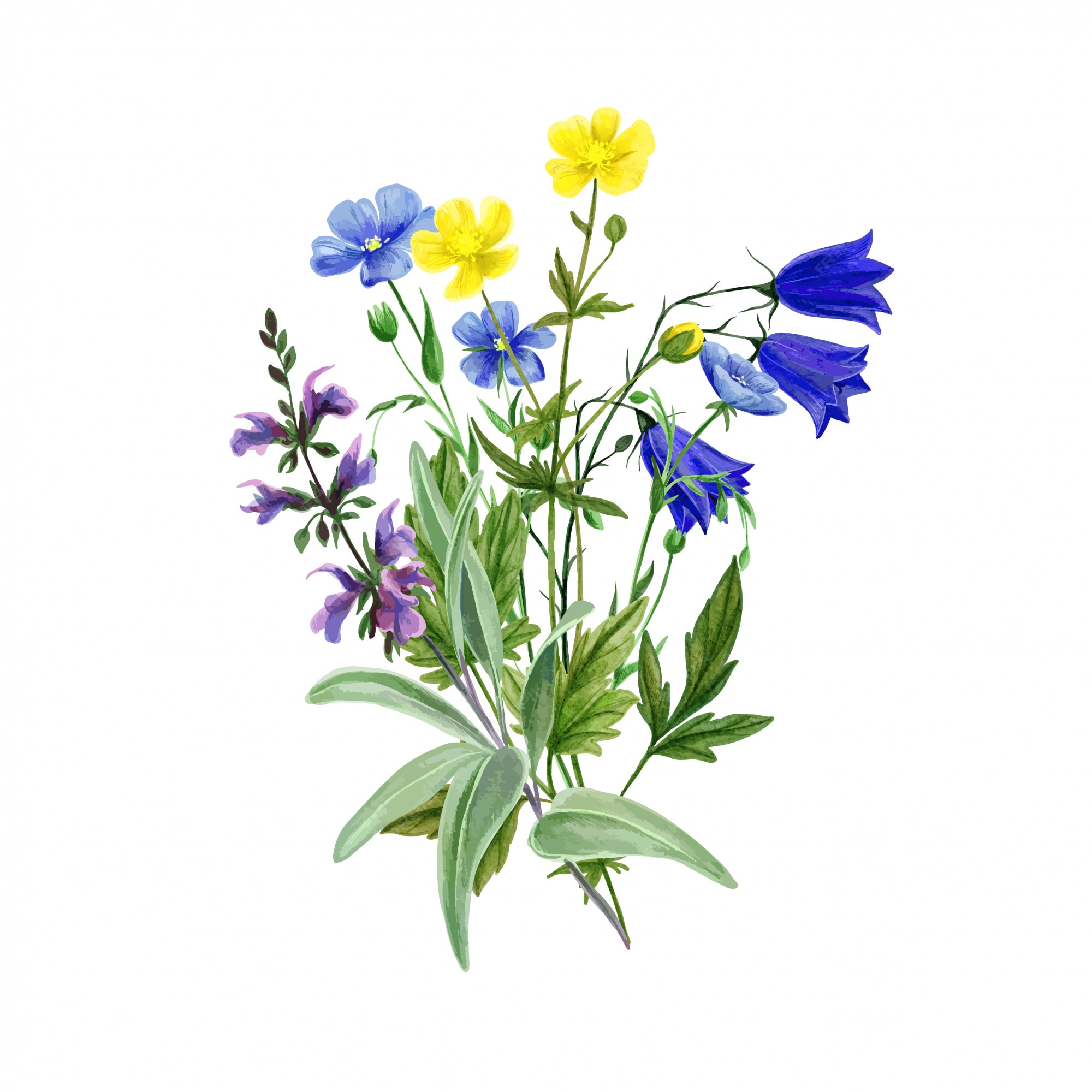 Dessin Bouquet De Fleurs Des Champs Bouquet De Fleurs Des Champs Sauvages Avec Linum Et Sauge | Vecteur Premium