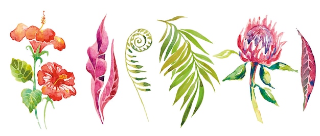 Vecteur bouquet de fleurs et de feuilles d'aquarelle tropicale