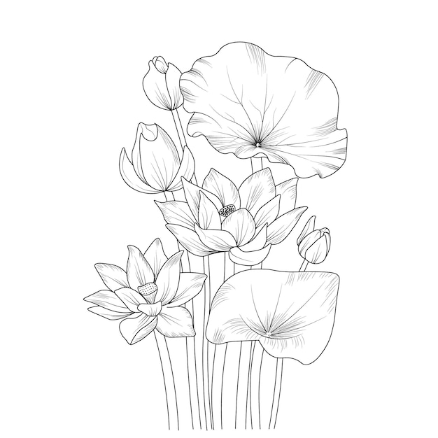 Bouquet De Fleurs De Lotus Dessinés à La Main Vecteur Croquis Illustration Gravée Encre Art Feuille Botanique Branche