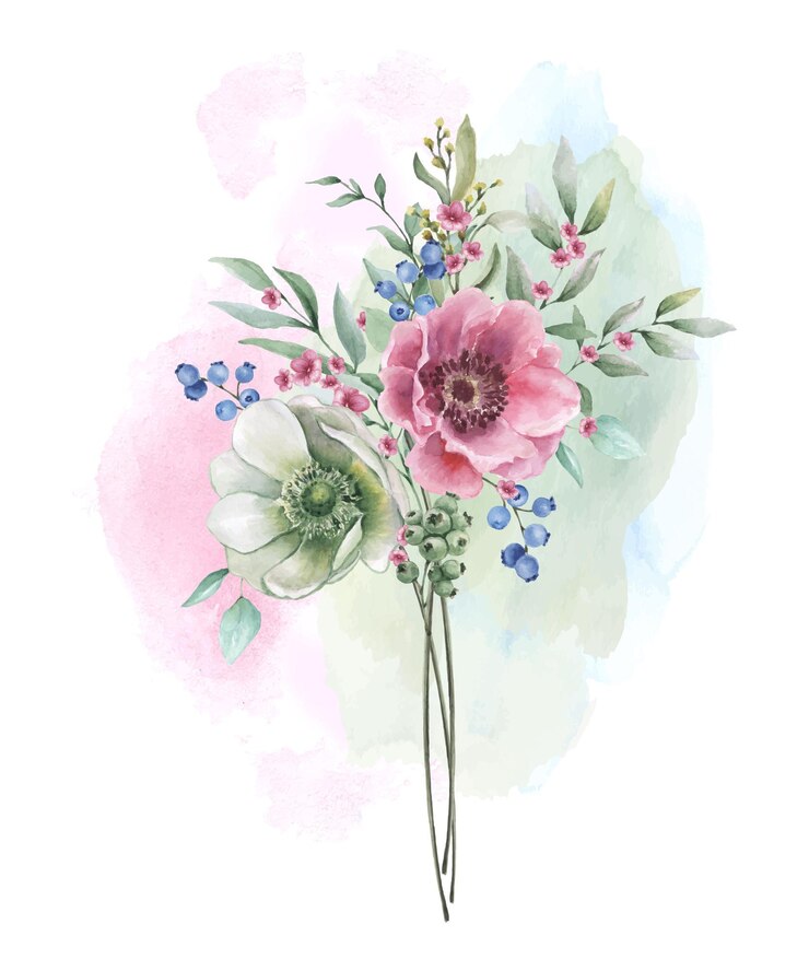 Vecteur bouquet floral aquarelle de fleur d'anémone