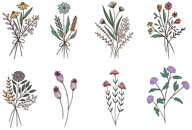 Bouquet Floral Bouquet De Fleurs Sauvages Illustrations Vectorielles Dessinées à La Main