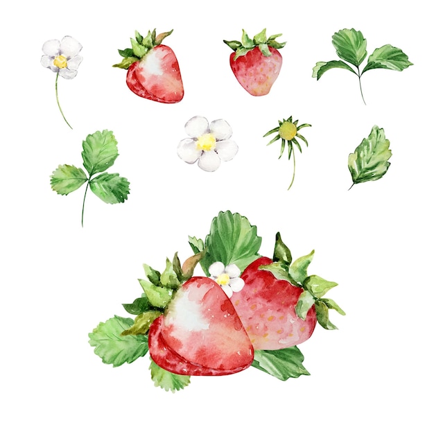 Bouquet de fraises à l'aquarelle avec des fleurs et des papillons