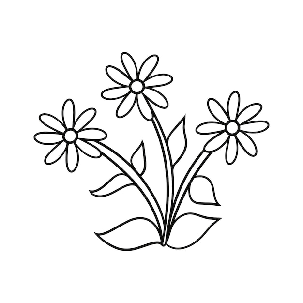 Vecteur bouquet monochrome de fleurs de camomille avec dessin vectoriel de feuilles