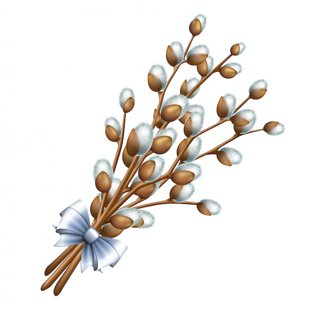 Vecteur bouquet de pâques de brindilles arbre de saule fleur de pâques