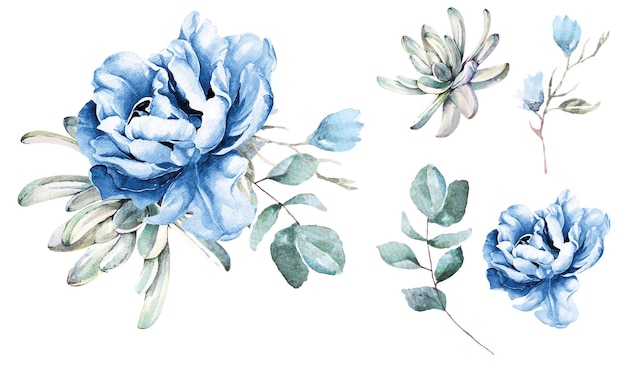 Bouquet de pivoine et de cactus de fleur bleue avec des aquarelles pour décorer des cartes d'invitation de mariage