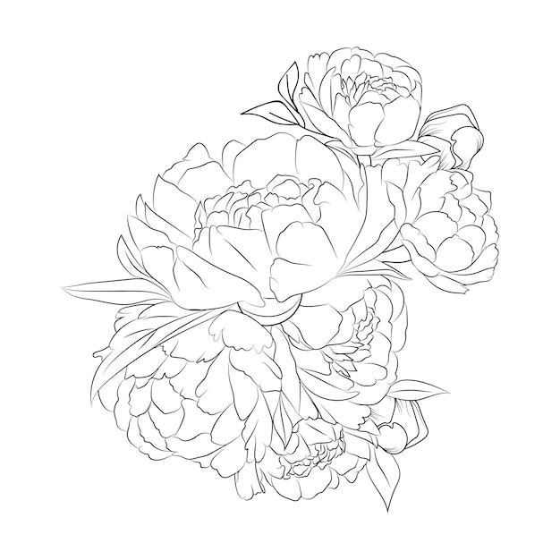 Vecteur bouquet de pivoine, croquis faciles d'art de zentangle de fleur avec la conception décorative de contour de griffonnage pour des adultes,