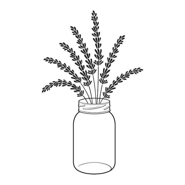 Vecteur bouquet de plantes de lavande dans un pot de verre illustration vectorielle en noir et blanc