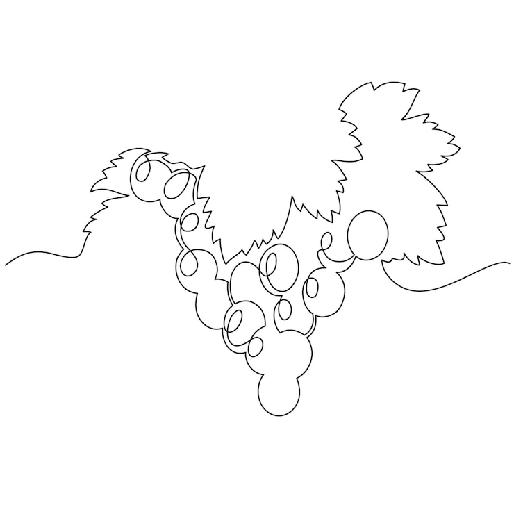Vecteur un bouquet de raisins est dessiné avec une seule ligne