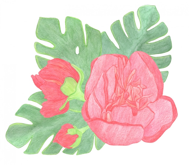 Vecteur bouquet rose rouge, belle fleur sur fond blanc isolé, illustration aquarelle