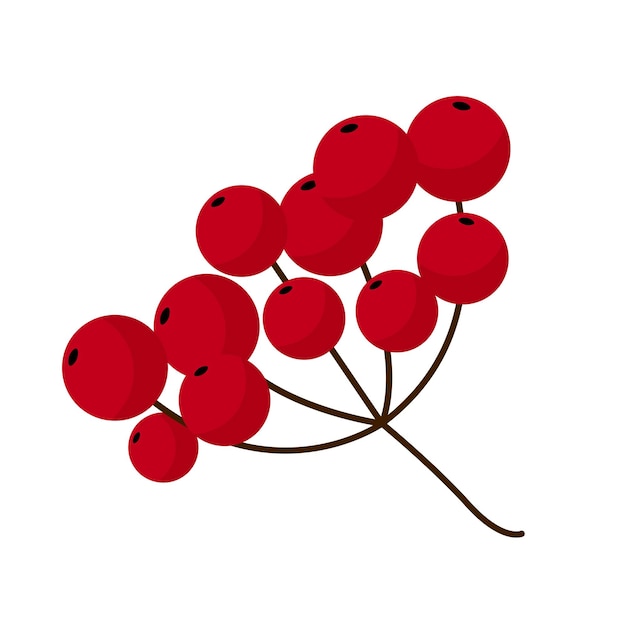 Bouquet de rowan rouge dans un style plat sur une branche de fond blanc avec des baies rouges