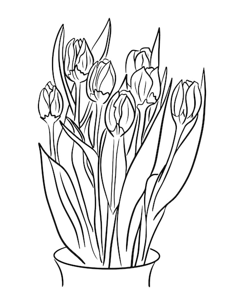 Vecteur bouquet de vecteur dessiné à la main de tulipes sur fond blanc