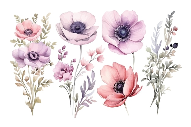 Bouquets D'aquarelle Sertie De Fleurs De Pivoines D'anémone Et D'herbe Illustration De Vecteur Plat Isolé Sur Fond Blanc