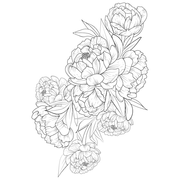 Bouquets de fleurs de pivoine d'art de croquis dessinés à la main, page de coloriage d'illustration vectorielle et art d'encre de livres.