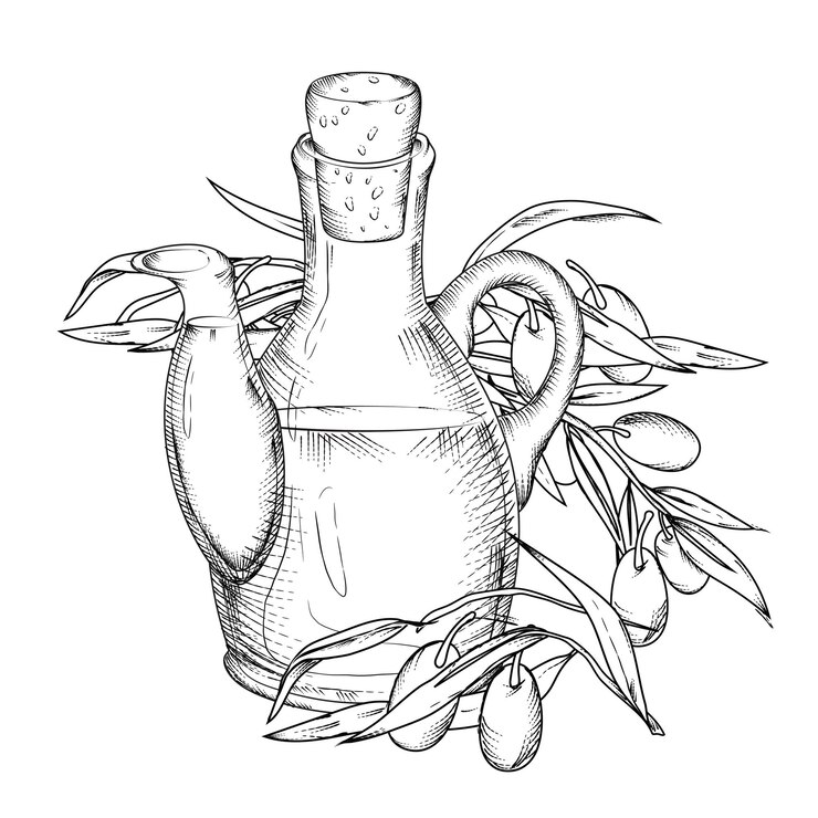 Bouteille d'huile d'olive ou cruche en verre et olives gravure illustration vectorielle isolée