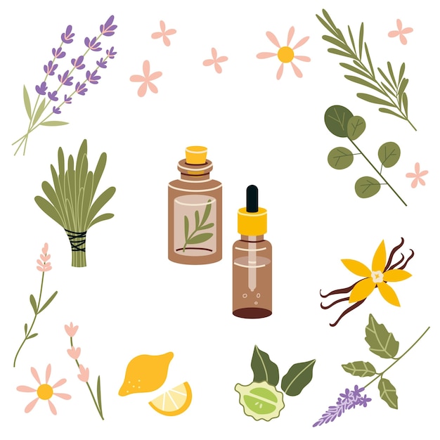 Vecteur bouteille en verre brun et style de dessin animé de plantes d'huiles essentielles populaires concept d'aromathérapie de la nature illustration vectorielle moderne à la mode isolée sur fond blanc design plat dessiné à la main