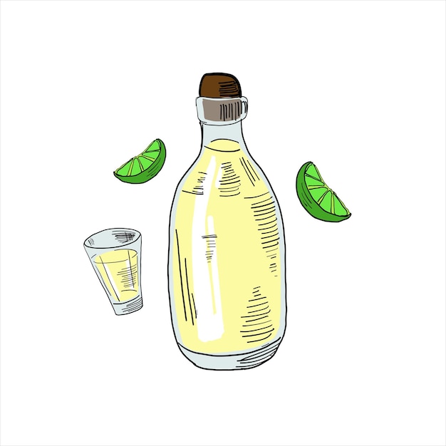 Bouteille de verre à liqueur de tequila et tranches de citron vert couleur clipart vectoriel doodle simple isolé sur blanc