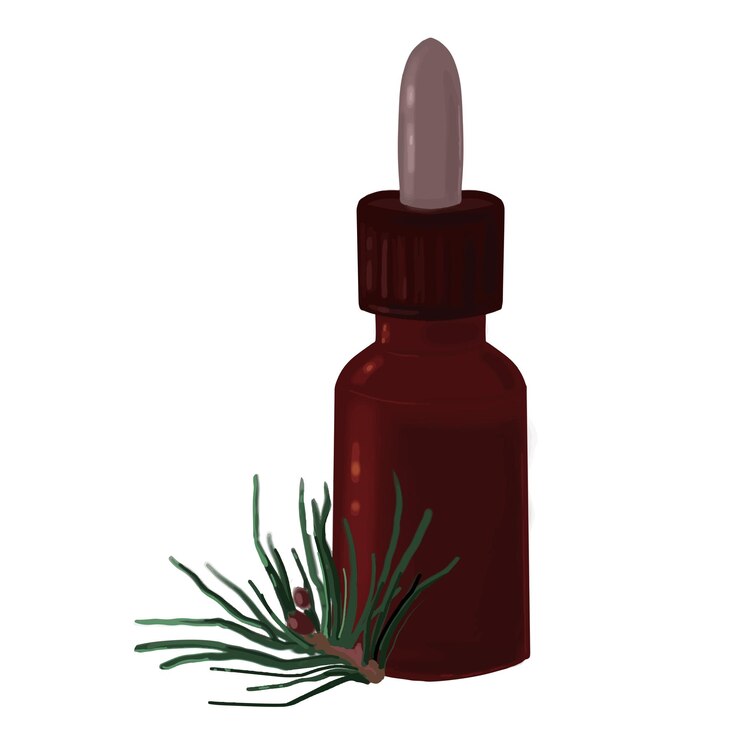 Vecteur bouteille en verre avec pipette d'huile essentielle avec illustration vectorielle de branche de pin