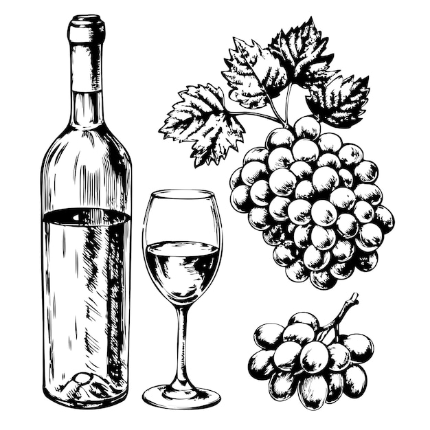 Une bouteille de vin un verre de vin