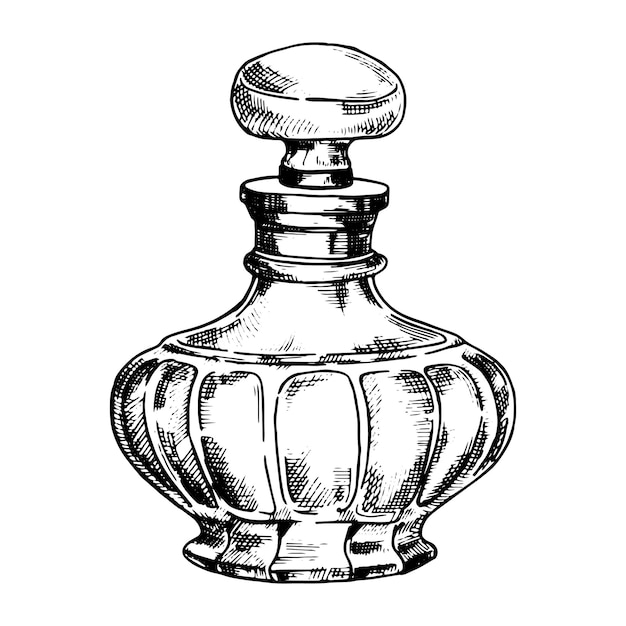 Bouteilles Avec Dessin Vectoriel De Parfum Dans Le Style Croquis Vintage