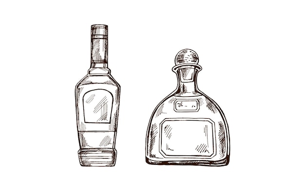 Des bouteilles de tequila dessinées à la main pour le menu des bars et des restaurants