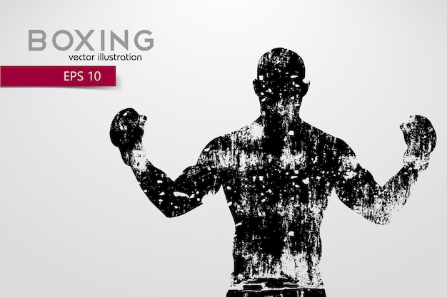 Boxe, Silhouette D'un Boxeur