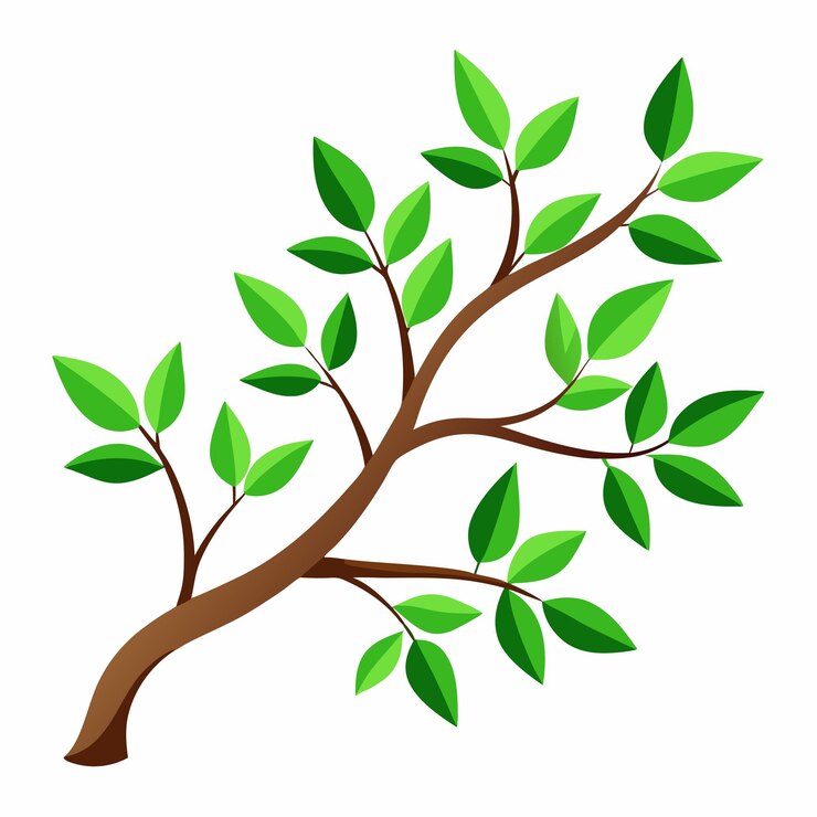 Vecteur branche d'arbre avec feuilles vertes vecteur dessins botaniques frais et naturels