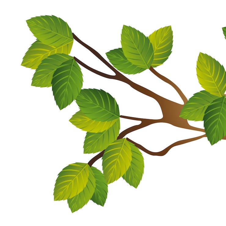 Vecteur branche d&#39;arbre, illustration vectorielle