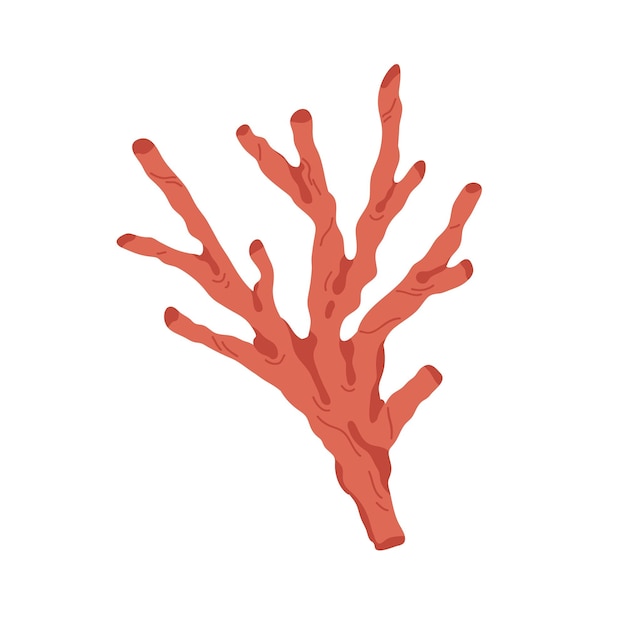 Vecteur branche de corail. plante polype rouge sous-marine de mer. flore marine sous-marine. décoration océan sous l'eau. brindille de squelette de récif. illustration vectorielle plane isolée sur fond blanc.