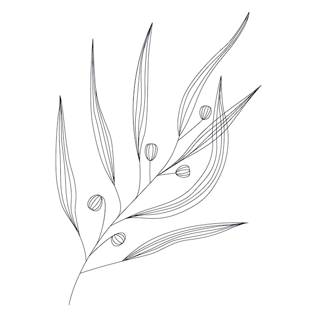 Branche de dessin au trait avec des feuilles