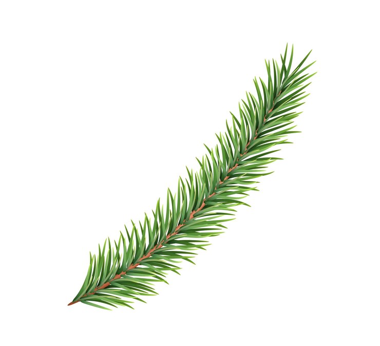 Vecteur branche d'épicéa sapin vert sapin de noël réaliste élément décoratif pour la décoration du nouvel an