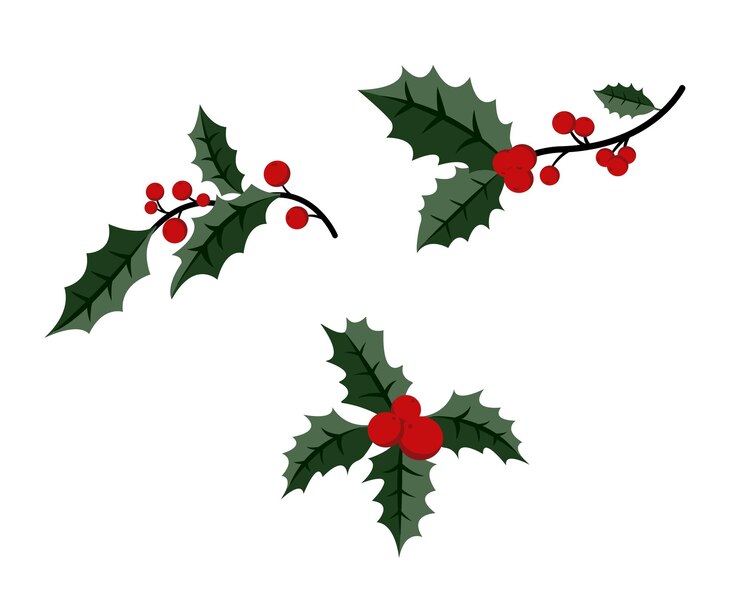 Vecteur branche de l'espèce de noël avec des baies rouges et une branche d'aiguille d'arbre