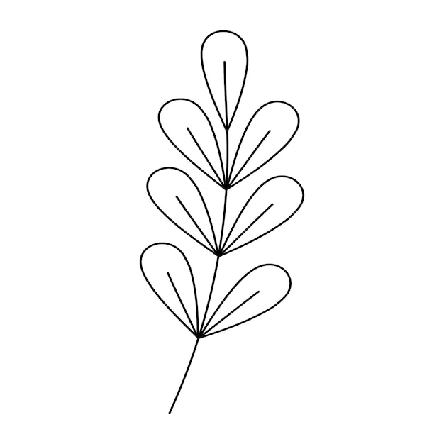 Branche avec feuilles Texte de livre de décoration de signe floral Herbes de terrain Croquis linéaire d'une plante de jardin Illustration vectorielle dessinée à la main dans un style doodle Élément isolé élégant