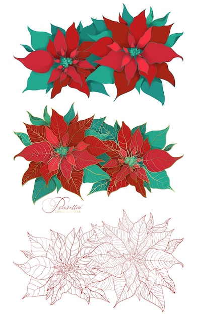 Vecteur branche fleurie de poinsettia de noël dans un style décoratif élégant