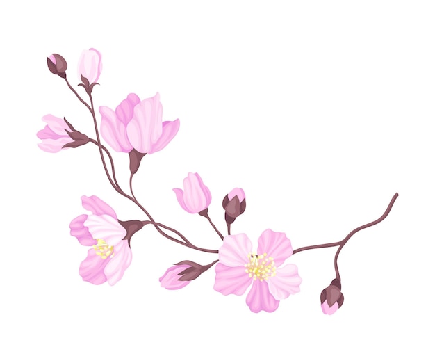 Branche De Fleurs De Cerisier Avec Des Fleurs Roses Tendres Illustration Vectorielle