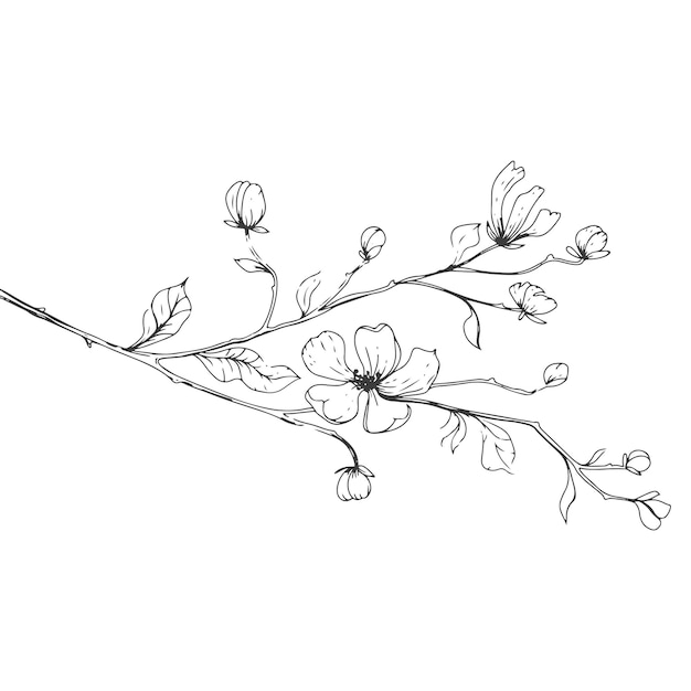 Vecteur branche gracieuse avec des fleurs dans le style du dessin à la main