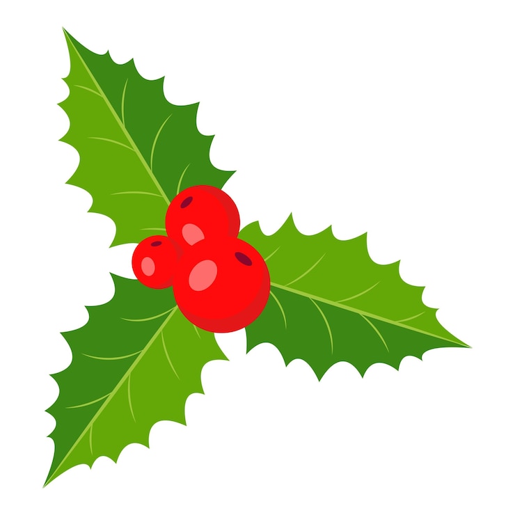Vecteur branche de houx avec des baies et des feuilles décorations de noël illustration vectorielle