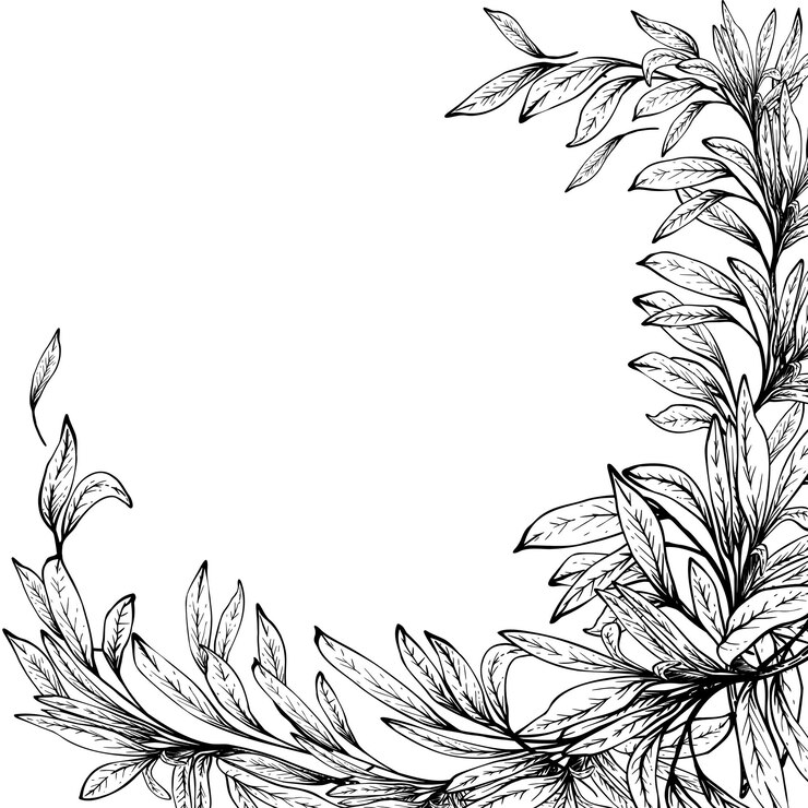 Vecteur branche d'olivier sans fruit avec des feuilles à l'encre noire dessinée à la main carte d'illustration vectorielle sans fruit