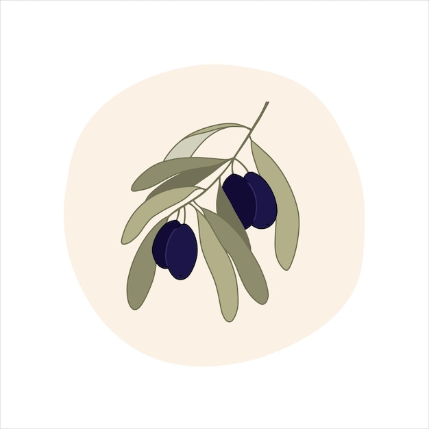 Branche d'olivier en style cartoon Illustration vectorielle