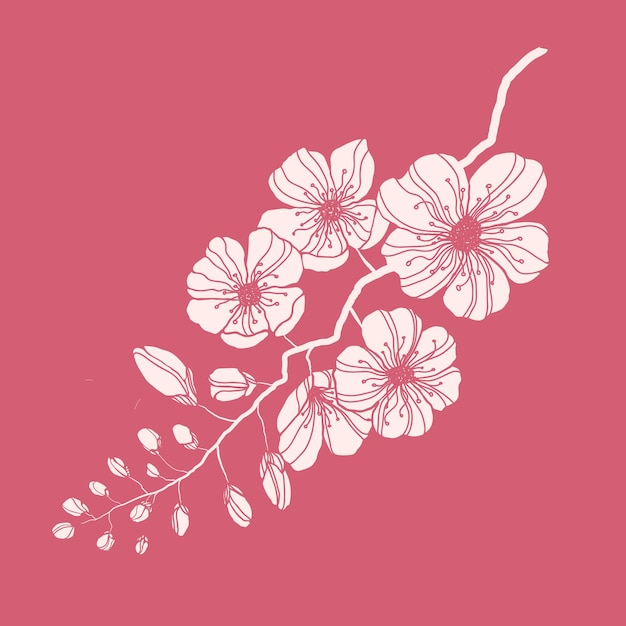 Vecteur branche de sakura dessinée à la main. silhouette d'encre cerisier en fleurs. décoration des vacances de printemps japonaises sur fond rose.