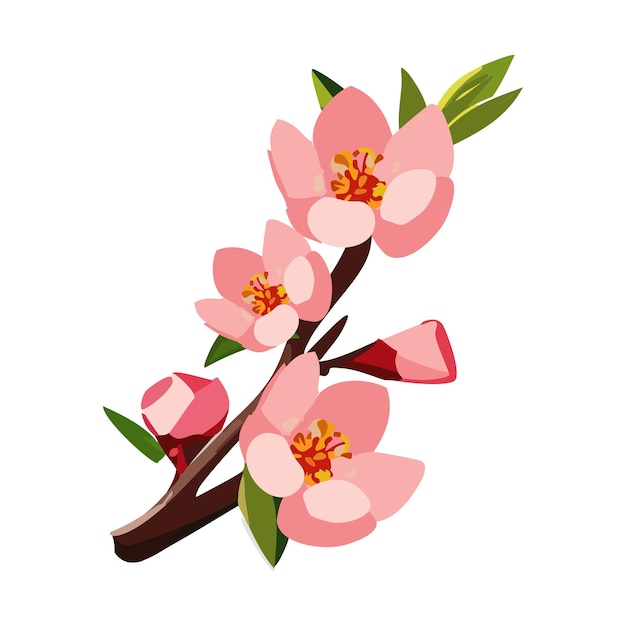 Vecteur branche de sakura fleurs de cerises roses des arbres à fleurs illustration vectorielle sur fond blanc