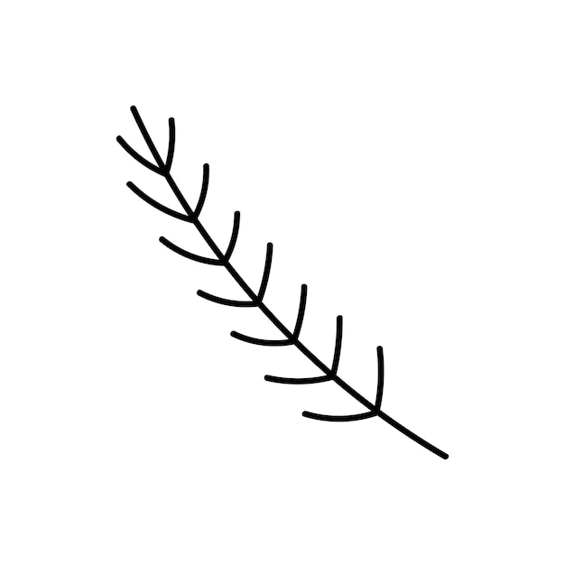 Vecteur branche de sapin isolée sur fond blanc illustration dessinée à la main dans le style de doodle