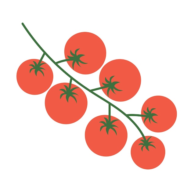 Vecteur branche de tomates cerises illustration vectorielle de tomates à la main pour les icônes de menus sur un transparent