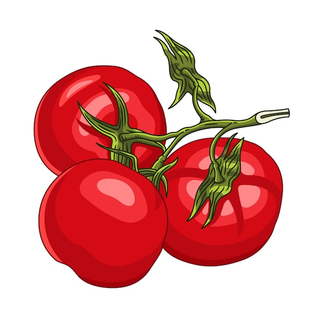Branche avec trois tomates mûres